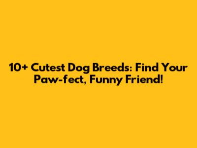 10+ Cutest Dog Breeds: Find Your Paw-fect, Funny Friend!