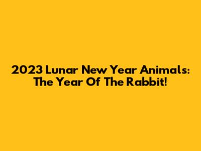 2023 Lunar New Year Animals: The Year Of The Rabbit!