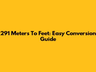 291 Meters To Feet: Easy Conversion Guide