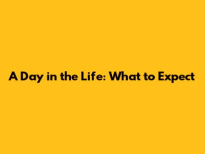 A Day in the Life: What to Expect