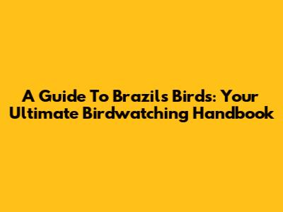 A Guide To Brazil's Birds: Your Ultimate Birdwatching Handbook