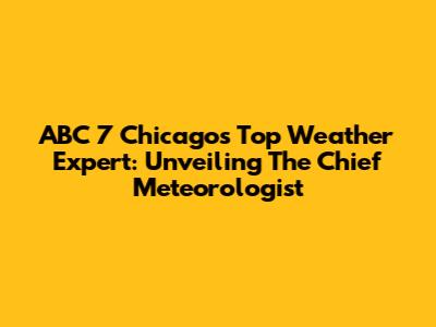 ABC 7 Chicago's Top Weather Expert: Unveiling The Chief Meteorologist