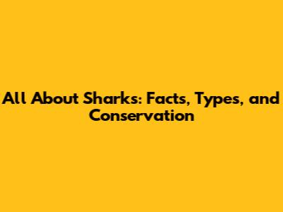 All About Sharks: Facts, Types, and Conservation