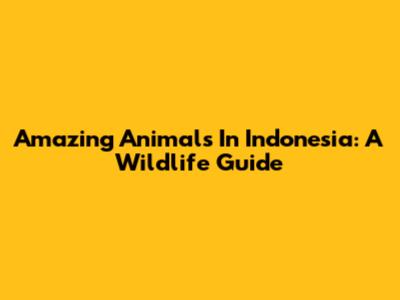Amazing Animals In Indonesia: A Wildlife Guide