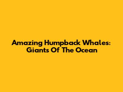Amazing Humpback Whales: Giants Of The Ocean