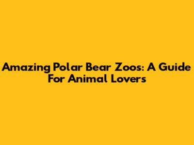 Amazing Polar Bear Zoos: A Guide For Animal Lovers
