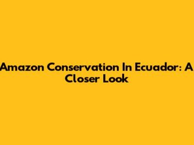 Amazon Conservation In Ecuador: A Closer Look