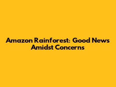 Amazon Rainforest: Good News Amidst Concerns
