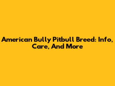 American Bully Pitbull Breed: Info, Care, And More