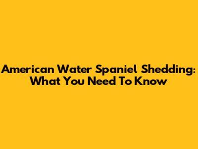 American Water Spaniel Shedding: What You Need To Know