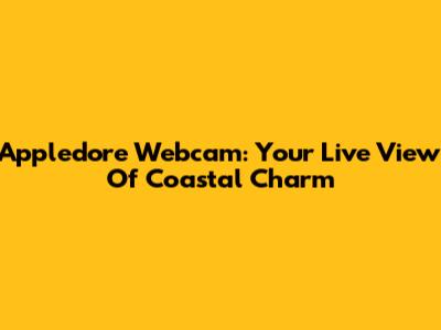 Appledore Webcam: Your Live View Of Coastal Charm