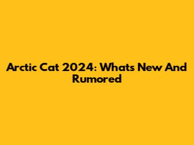 Arctic Cat 2024: What's New And Rumored