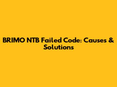 BRIMO NTB Failed Code: Causes & Solutions