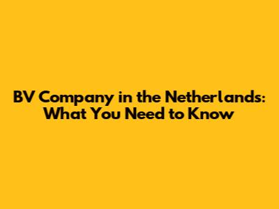 BV Company in the Netherlands: What You Need to Know