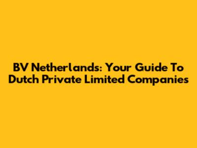 BV Netherlands: Your Guide To Dutch Private Limited Companies