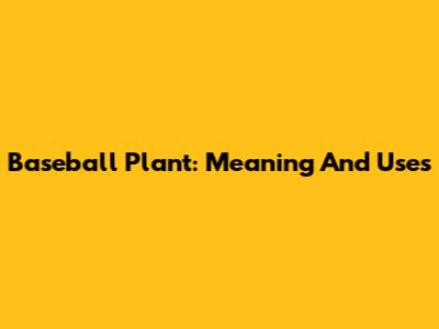 Baseball Plant: Meaning And Uses