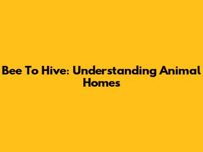 Bee To Hive: Understanding Animal Homes