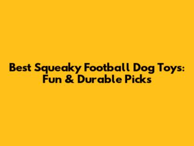 Best Squeaky Football Dog Toys: Fun & Durable Picks