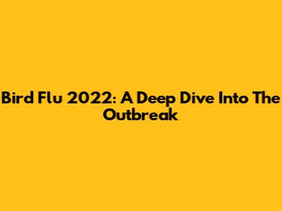 Bird Flu 2022: A Deep Dive Into The Outbreak