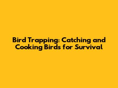 Bird Trapping: Catching and Cooking Birds for Survival