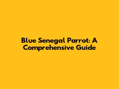 Blue Senegal Parrot: A Comprehensive Guide