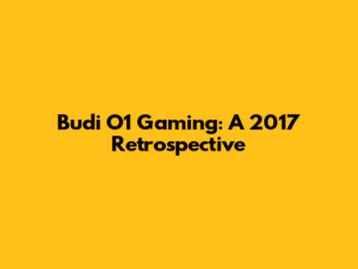 Budi O1 Gaming: A 2017 Retrospective
