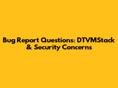 Bug Report Questions: DTVMStack & Security Concerns