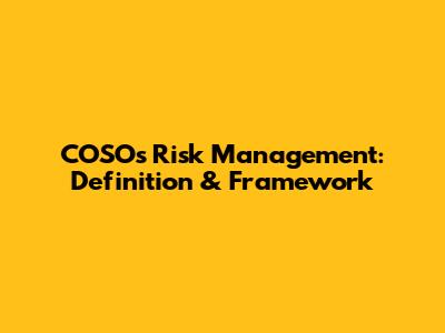 COSO's Risk Management: Definition & Framework