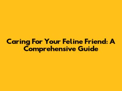 Caring For Your Feline Friend: A Comprehensive Guide