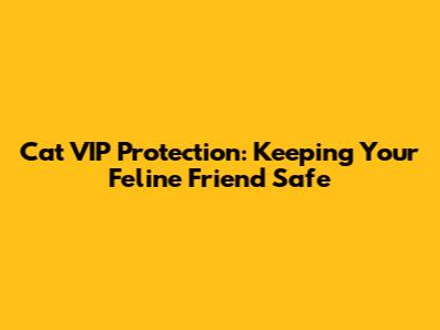 Cat VIP Protection: Keeping Your Feline Friend Safe