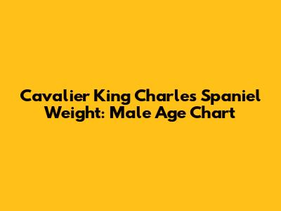 Cavalier King Charles Spaniel Weight: Male Age Chart
