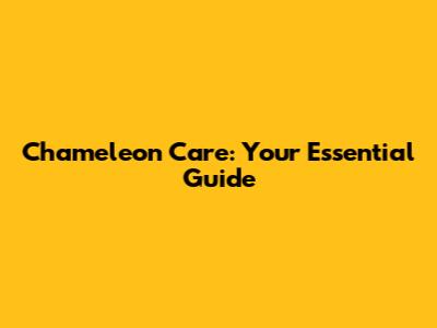 Chameleon Care: Your Essential Guide