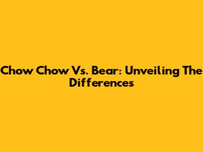 Chow Chow Vs. Bear: Unveiling The Differences