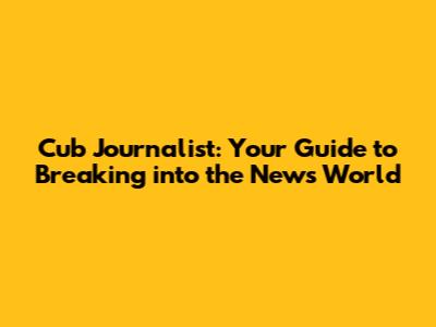 Cub Journalist: Your Guide to Breaking into the News World