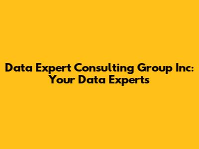 Data Expert Consulting Group Inc: Your Data Experts