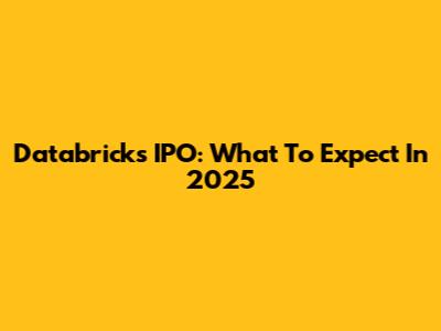 Databricks IPO: What To Expect In 2025