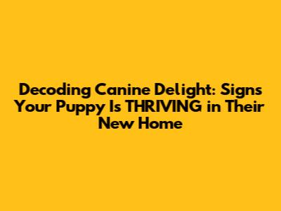 Decoding Canine Delight: Signs Your Puppy Is THRIVING in Their New Home