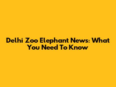 Delhi Zoo Elephant News: What You Need To Know