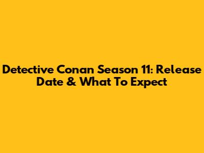 Detective Conan Season 11: Release Date & What To Expect