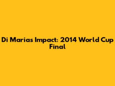 Di Maria's Impact: 2014 World Cup Final