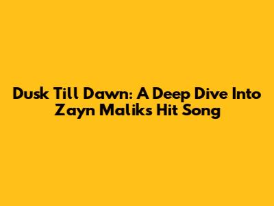 Dusk Till Dawn: A Deep Dive Into Zayn Malik's Hit Song