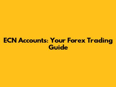 ECN Accounts: Your Forex Trading Guide