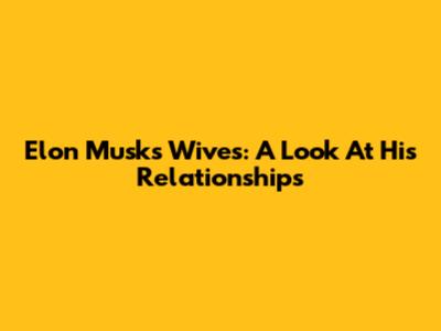 Elon Musk's Wives: A Look At His Relationships