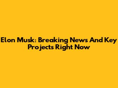 Elon Musk: Breaking News And Key Projects Right Now