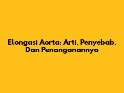 Elongasi Aorta: Arti, Penyebab, Dan Penanganannya