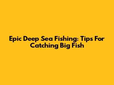 Epic Deep Sea Fishing: Tips For Catching Big Fish