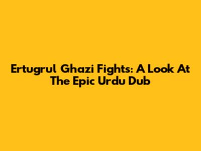 Ertugrul Ghazi Fights: A Look At The Epic Urdu Dub