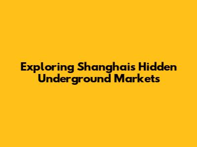 Exploring Shanghai's Hidden Underground Markets