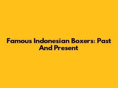 Famous Indonesian Boxers: Past And Present