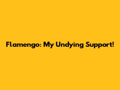Flamengo: My Undying Support!